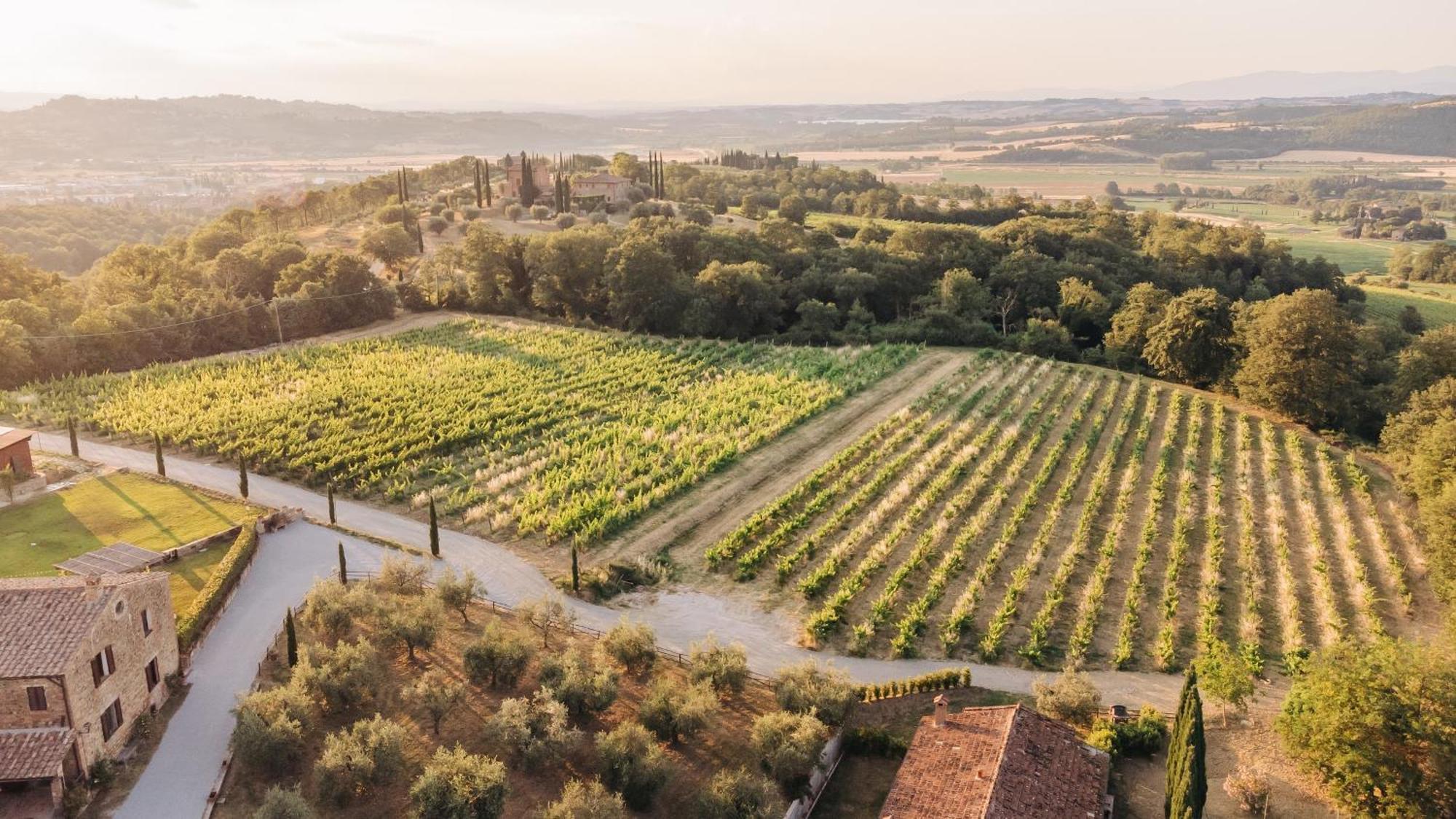 Borgo Siliano - Antico Podere Siliano Villa Citta della Pieve Ngoại thất bức ảnh
